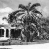 Hoffmann-Connor-Ware-Goldman home 1930.