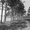 Lakeside road in 1924.